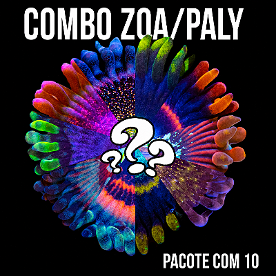 Zoanthus & Palythoa Combo (Aleatório)