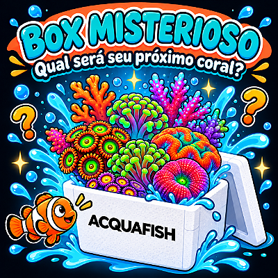 Box Misterioso Acquafish