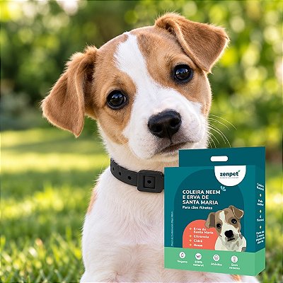 Kit com 4 Coleiras Naturais com Neem e Erva-Santa-Maria para Cães Filhotes | Zenpet