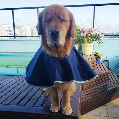 Capa de Chuva para Cachorro Impermeável Azul Marinho Coleção Nova Zenpet