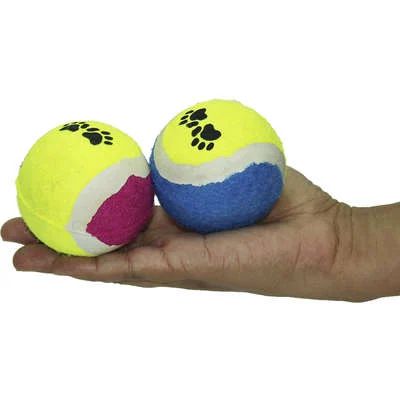 Kit 2 Brinquedo Bolinha de Tênis para Cachorro Sortidas Chalesco