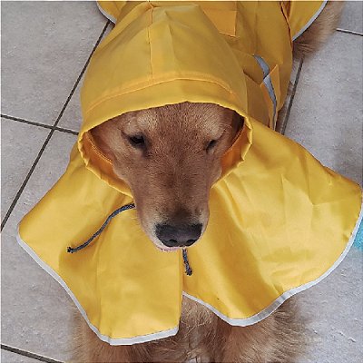 Capa de Chuva para Cachorro Impermeável Amarela Coleção Nova Zenpet