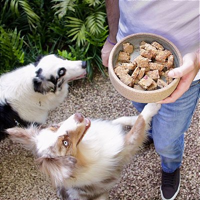 Comida para Cachorro Desidratada Natural 300g 374 Pets