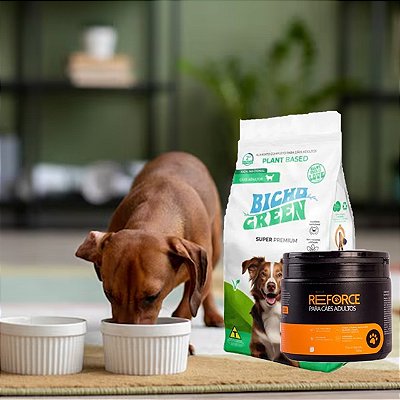 Kit Ração Cães Bicho Green Super Premium 2,5 kg e Nutroplus Reforce 180g