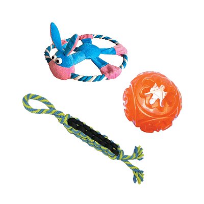 Kit 3 Brinquedos para Cachorro de Porte Médio - Chalesco