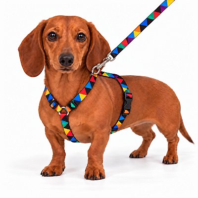 Peitoral Tipo H com Guia para Cães Pequenos VIP 0 | Confortável e Seguro | Luna Lua