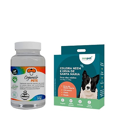 Kit Coleira Zenpet Cães Médios + Suplemento Cogumelos Pet