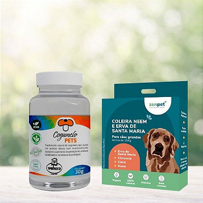 Kit Coleira Zenpet Cães Grandes + Suplemento Cogumelos Pet