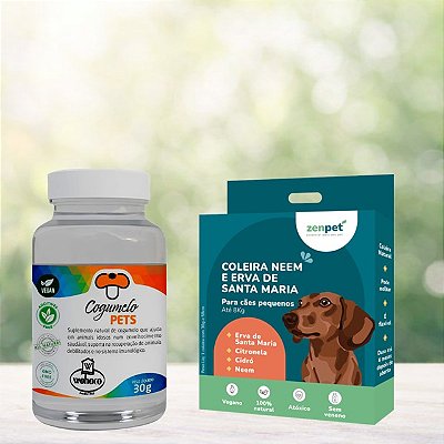 Kit Coleira Zenpet Cães Pequenos + Suplemento Cogumelos Pet