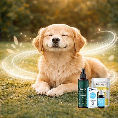 Kit Calma Natural para Cachorro | Ansiedade - Estresse - Nervosismo