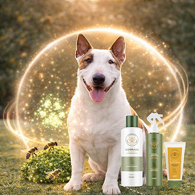 Kit Alívio da Coceira Natural para Cães e Gatos – Própolis Verde - Propovets
