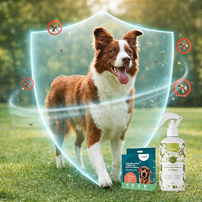 Kit Escudo Bioprotetor Natural Essencial Zenpet | Repelente Natural para Cães e Gatos