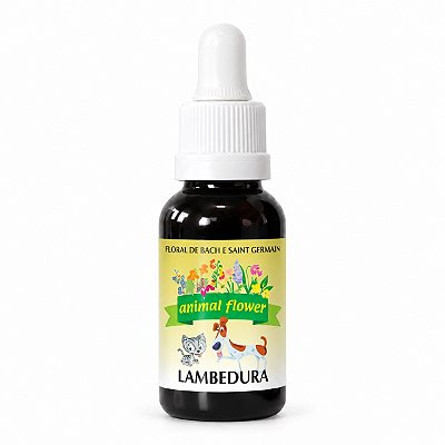 Floral Lambedura Psicogênica em Gotas para Cães e Gatos 30 ml | Animal Flower