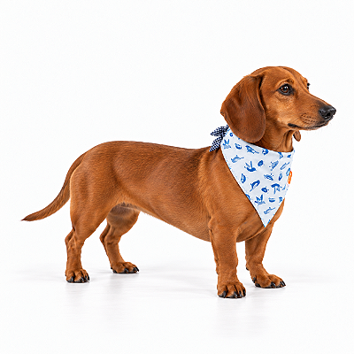 Bandana para Cães Dupla Face Pássaros e Xadrez Azul-Marinho | Zenpet