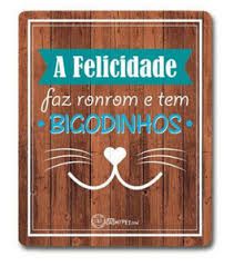 Placa Decorativa Gato Felicidade Bigodinhos CatMyPet