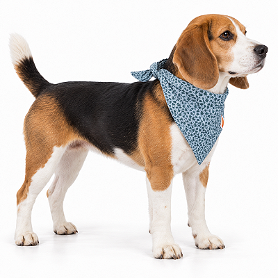 Bandana para Cães Dupla Face Floral Azul Listrado | Zenpet