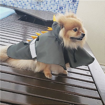 Capa de Chuva para Cachorro Dino Verde Musgo ZenPet