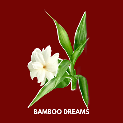 Essência Bamboo Dreams 100 ml