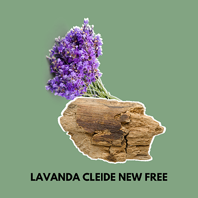 Essência Lavanda Cleide New Free 100 ml