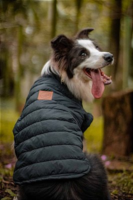 Jaqueta para Cachorro Corta-Vento - Bariloche