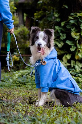 Jogo Americano Pet Azul Blue Sky – Cane di Base – Cane Produtos Pet