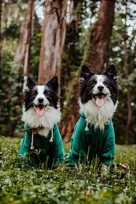 Moletom Verde Bandeira para Cachorro