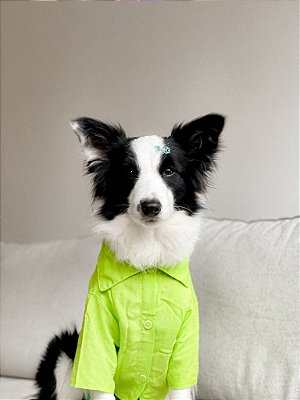 Camisa Verde Neon para Pet