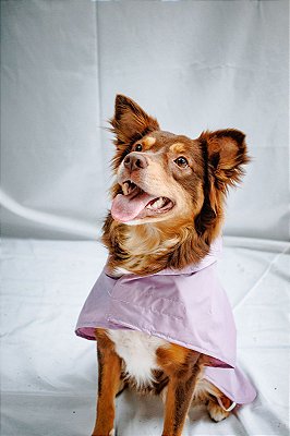 Capa de Chuva para Pet - Lavanda