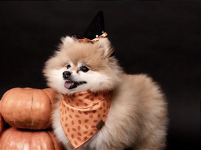 Bandana para Pet - Pumpkins