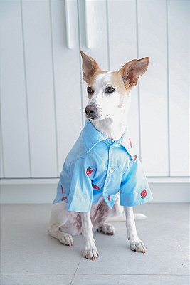 Camisa Mykonos para Cachorros