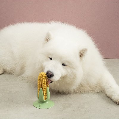 Milho Escova Dental De Tpr Com Ventosa para Pet- Oikos Animal
