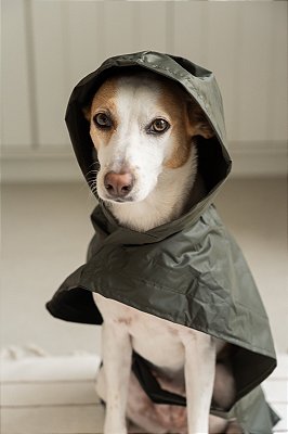 Capa de Chuva para Pet - Verde Musgo