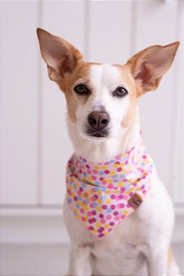 Bandana Confete