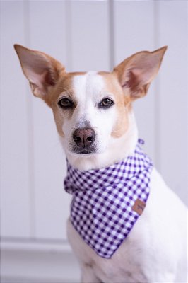 Bandana Violeta