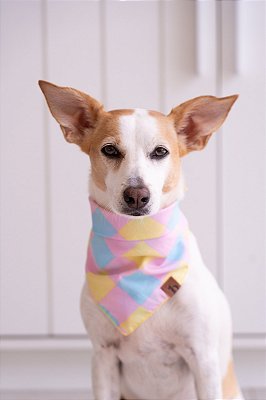 Bandana Flamingo