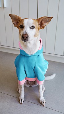Moletom para Cachorro Blue Pop