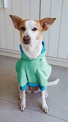 Moletom para Cachorro Green Pop