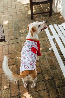 Camiseta para Cachorro e Gato -  Popcorn