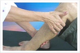 fisio9