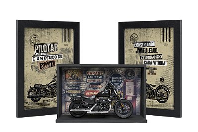 Kit Presente Harley-Davidson Sportster Iron 1:12 + Expositor + Quadros