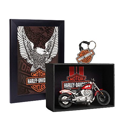 Combo para presentear Motociclista - Miniatura Harley-Davidson