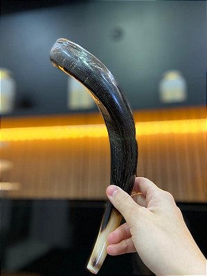 Shofar Direto de Israel | Modelo 2 - 35cm
