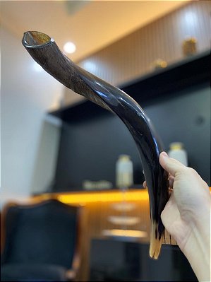 Shofar Direto de Israel | Modelo 5 - 48cm