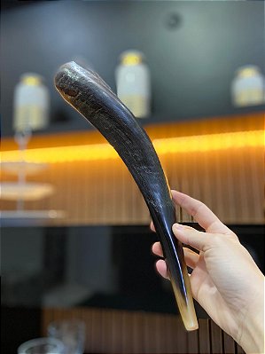 Shofar Direto de Israel | Modelo 7 - 33cm