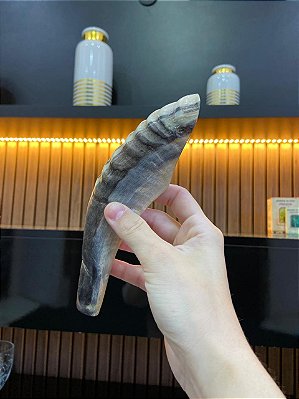 Shofar Direto de Israel | Modelo 9 - 20cm