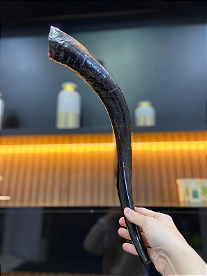 Shofar Direto de Israel | Modelo 10 - 50cm