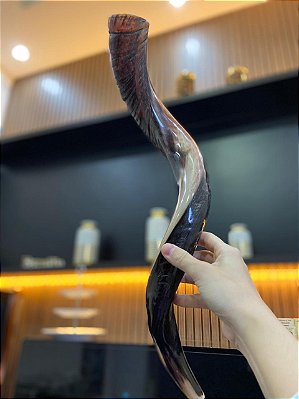 Shofar Direto de Israel | Modelo 16 - 68,5cm