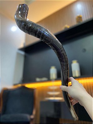 Shofar Direto de Israel | Modelo 19 - 76cm