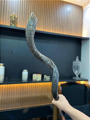 Shofar Direto de Israel | Modelo 21 - 1m e 08cm