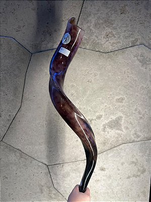 Shofar de Antílope Direto de Israel | Modelo A1